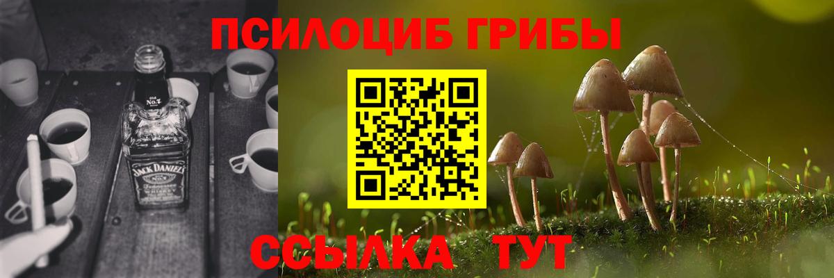 Псилоцибиновые грибы Psilocybe  Галлюциногенные грибы Cubensis  Вход с VPN  Черногорск 